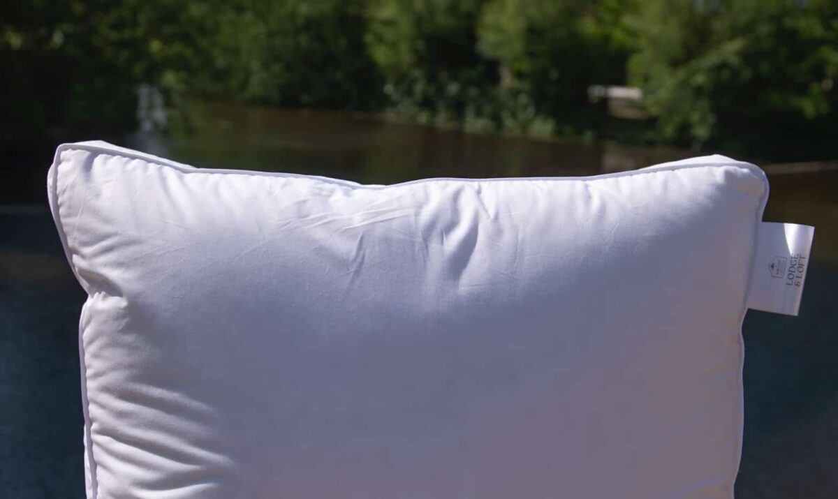 Down cushion