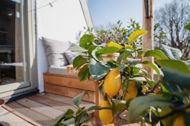 Sun’s out 🌞 Happy weekend from Team Lodge & Loft ✨